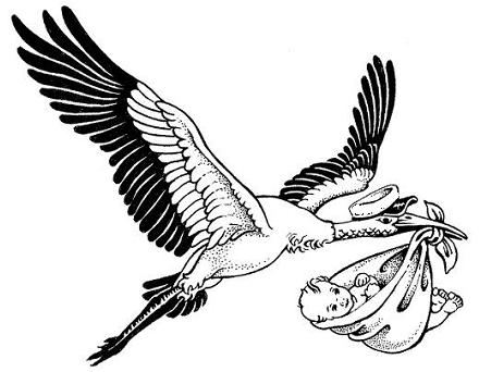 Stork And Baby | Free Download Clip Art | Free Clip Art | on ...