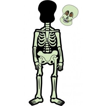 1000+ images about Skeleton Activities