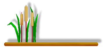 Cattail Clip Art Clipart - Free to use Clip Art Resource