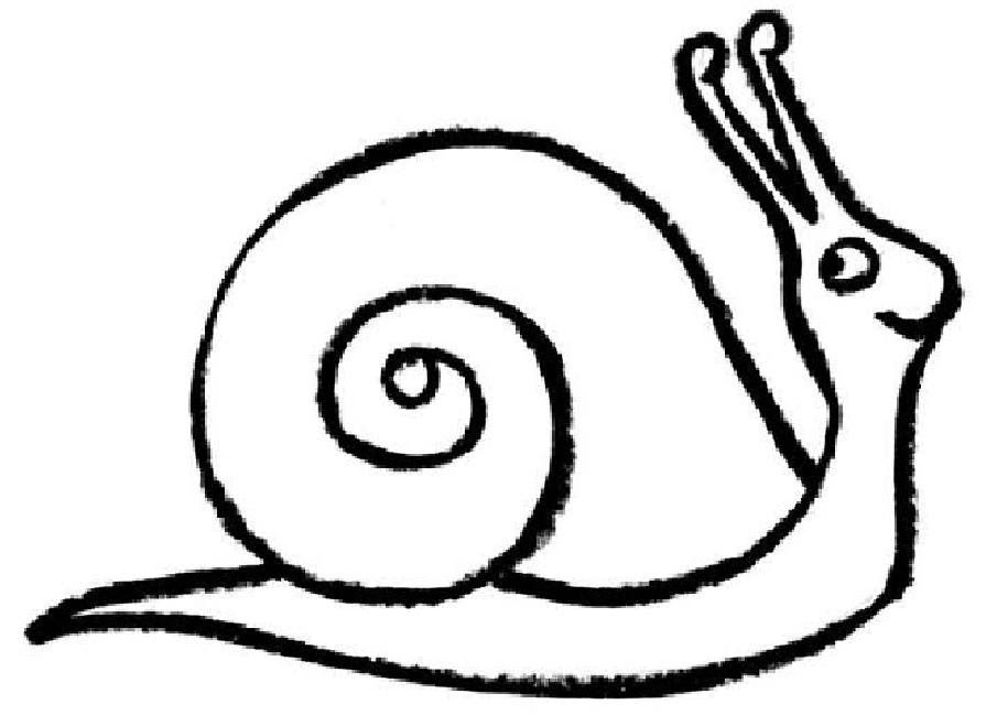 Picture Of A Snail - AZ Coloring Pages
