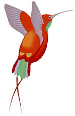 Colibri Gif Animado - Gifs animados colibri 6905641