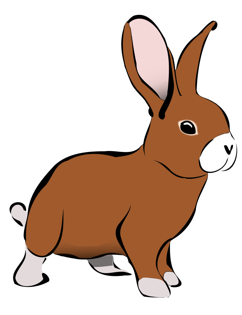 Picture of rabbit clipart