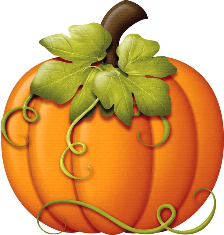 Clip Art Pumpkin - Tumundografico
