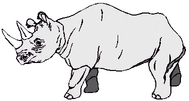 Rhinoceros Clip Art - Free Clipart Images