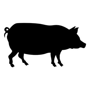 Hog Clipart - Tumundografico