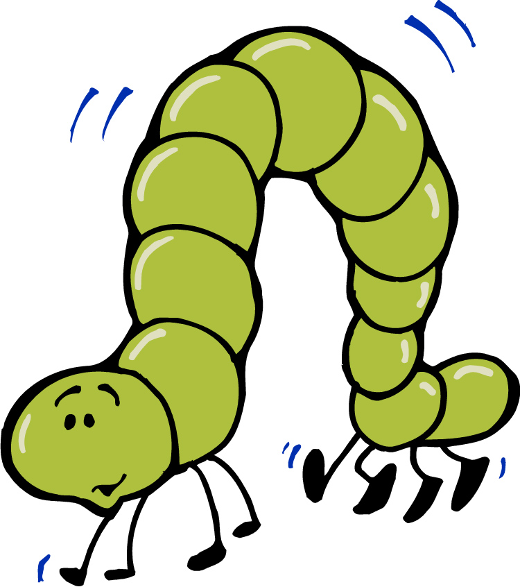 Inchworm Picture | Free Download Clip Art | Free Clip Art | on ...