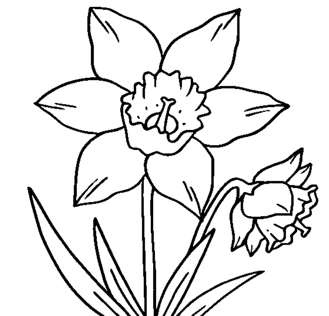 Printable Crocus Flower Coloring Page | Flower Coloring pages of ...