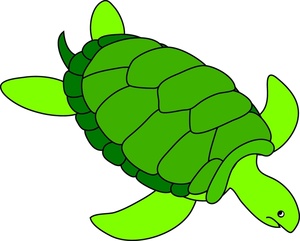 Clip art sea turtle