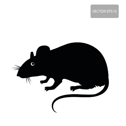 Silhouette Of Black Rat Clip Art, Vector Images & Illustrations ...
