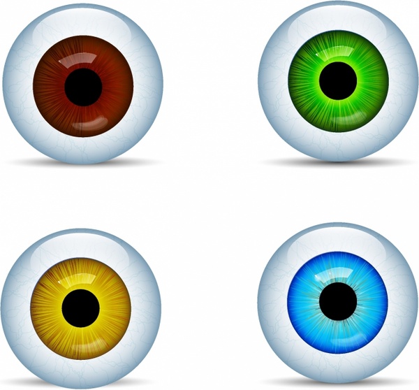 Eyeball free vector download (29 Free vector) for commercial use ...