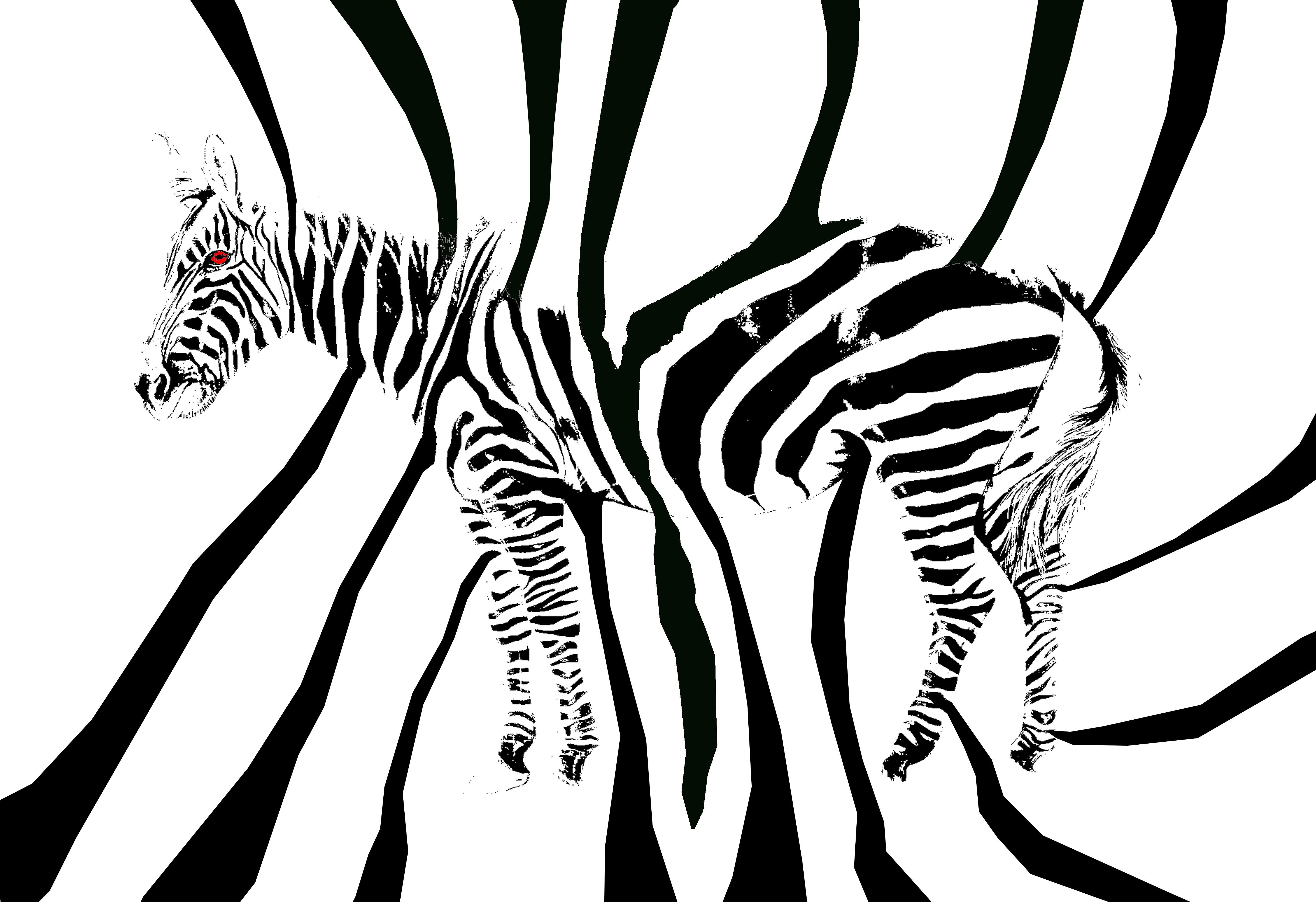 Zebra Stencil | Images Guru