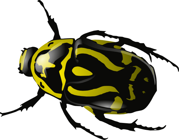 Free insects clip art by phillip martin - Clipartix