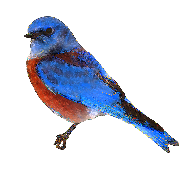 Free Bluebird Clipart | Free Download Clip Art | Free Clip Art ...