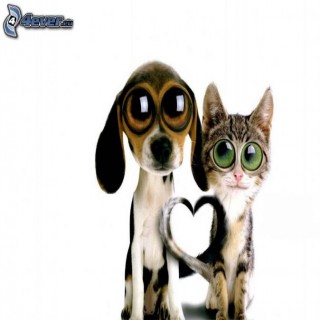 Dog And Cat Heart Big Eyes - Litle Pups