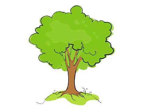 Tree Cartoon