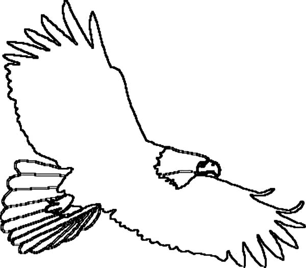 How to Draw an Eagle Coloring Page | Coloring Sun