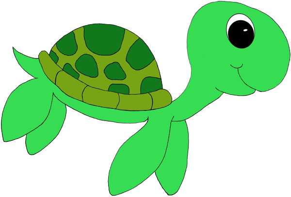 Free clipart baby turtle