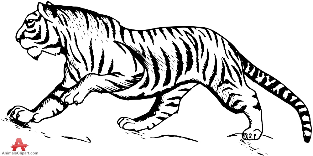 Tiger black and white cute tiger clip art free clipart images ...