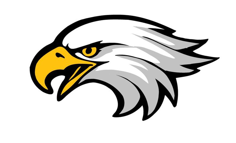 eagle head mascot clipart software