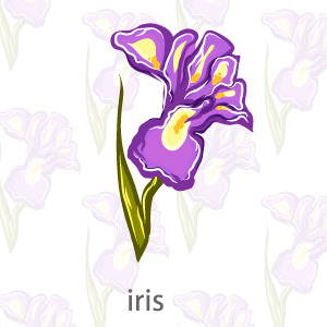 Vector Flower Iris | FreeVectors.net