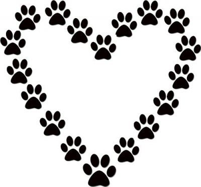 Pets, Panthers and Pet paws