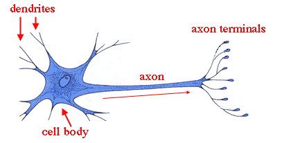 Nursing 1207 Exam #3 > Johnson > Flashcards > Quiz #6 | StudyBlue