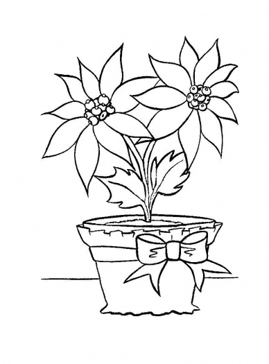 Christmas Flower Bouquet with Greeting Card coloring page | Super ...