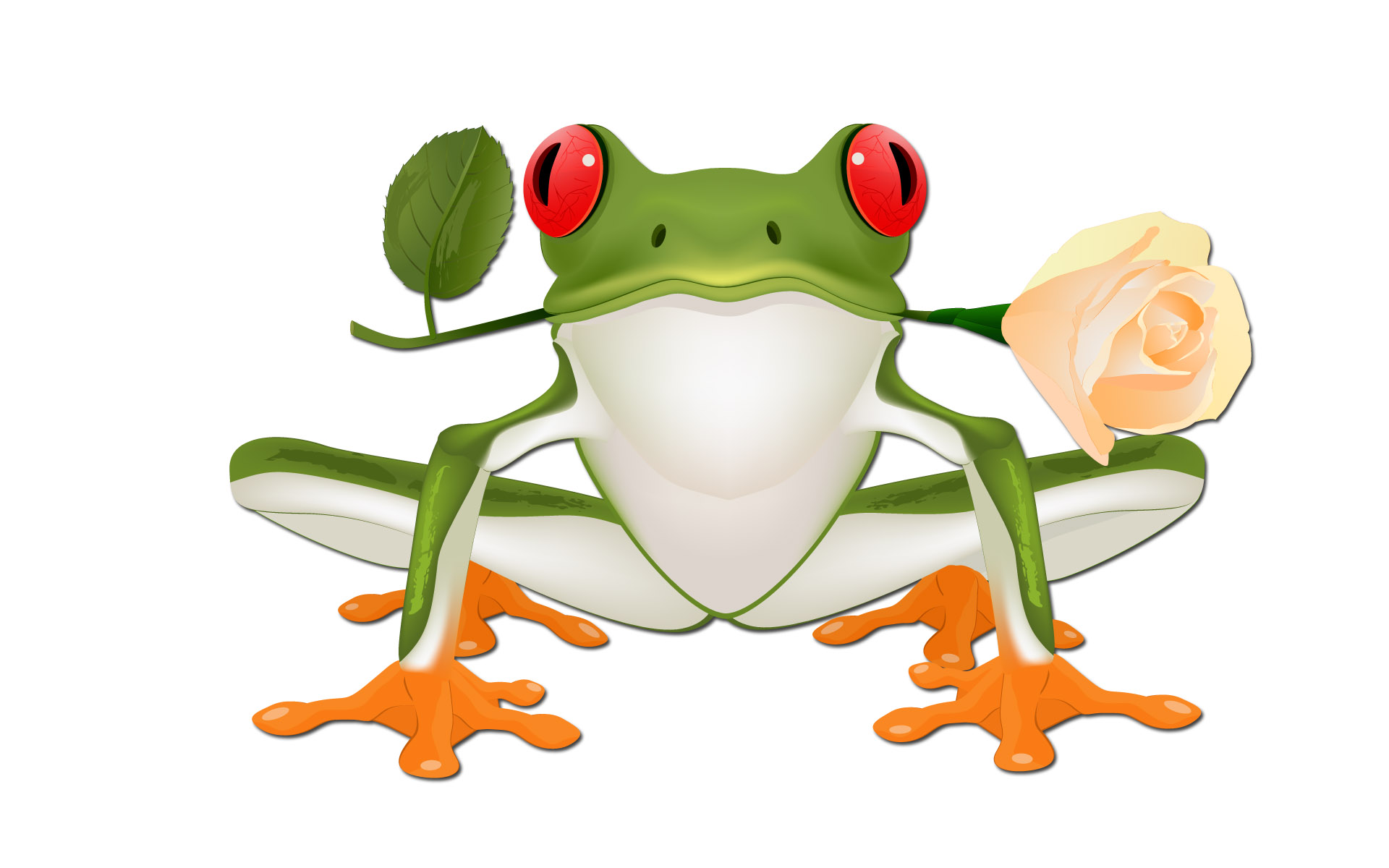 List of All Frogs HD Wallpapers page 9 of 49 pages | Wakpaper.