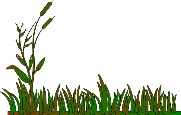 Cattails Outline Green/brown Clip Art - vector clip ...