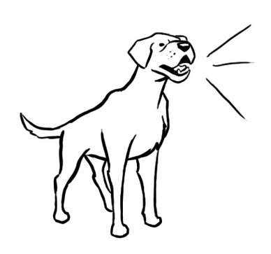 Easy Draw Dog Clipart - Free to use Clip Art Resource