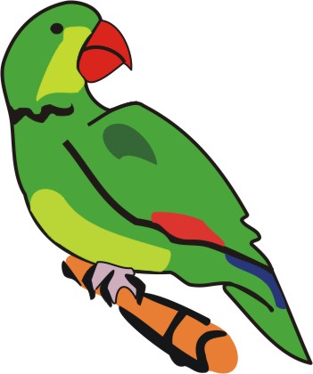 Printable cartoon parrot DUÅ AN Ä?ECH