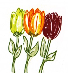 Spring Flower Drawings - ClipArt Best