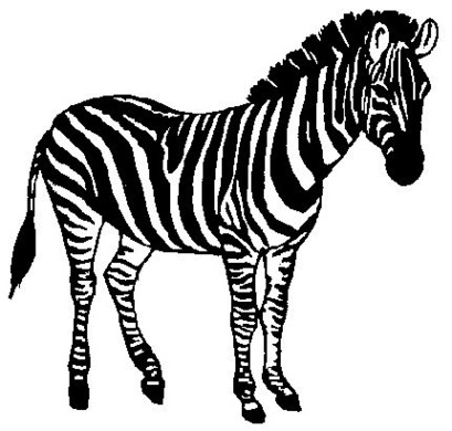 Baby Zebra Clipart Clipart - Free to use Clip Art Resource