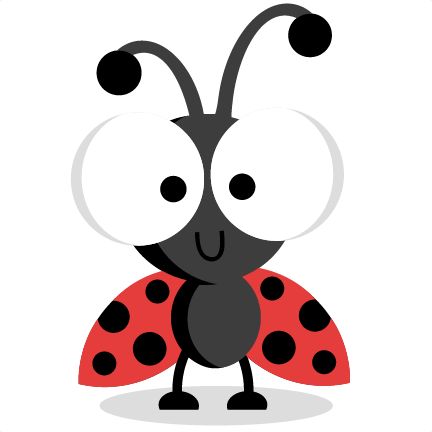 1000+ images about ladybug / joaninhas | Google ...