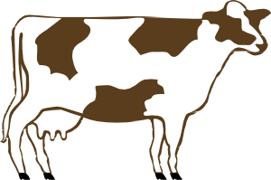 Dairy cows clipart