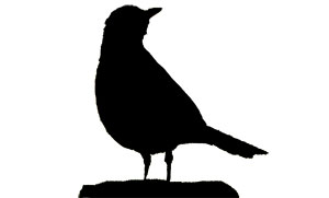 A Robin Silhouette - ClipArt Best