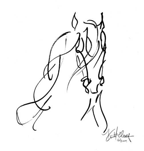 1000+ images about Horse Drawings | Arabian horses ...