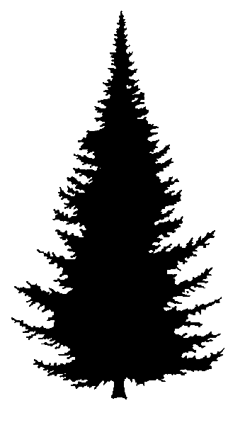 Balsam fir silhouette | Tattoo | Pinterest