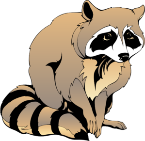 Raccoon Clip Art Pictures - Free Clipart Images