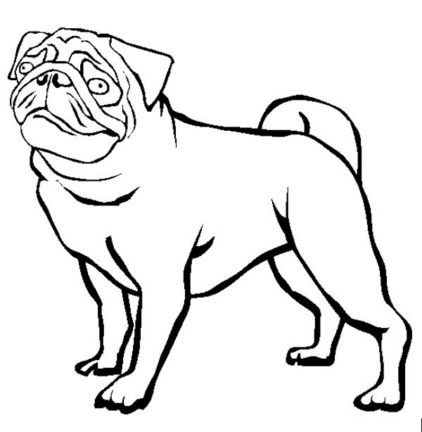 Pug - Puppy Coloring Pages – 50 Free Puppy Dog Coloring Pages for ...