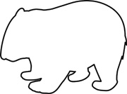 Wombat Drawing Outline