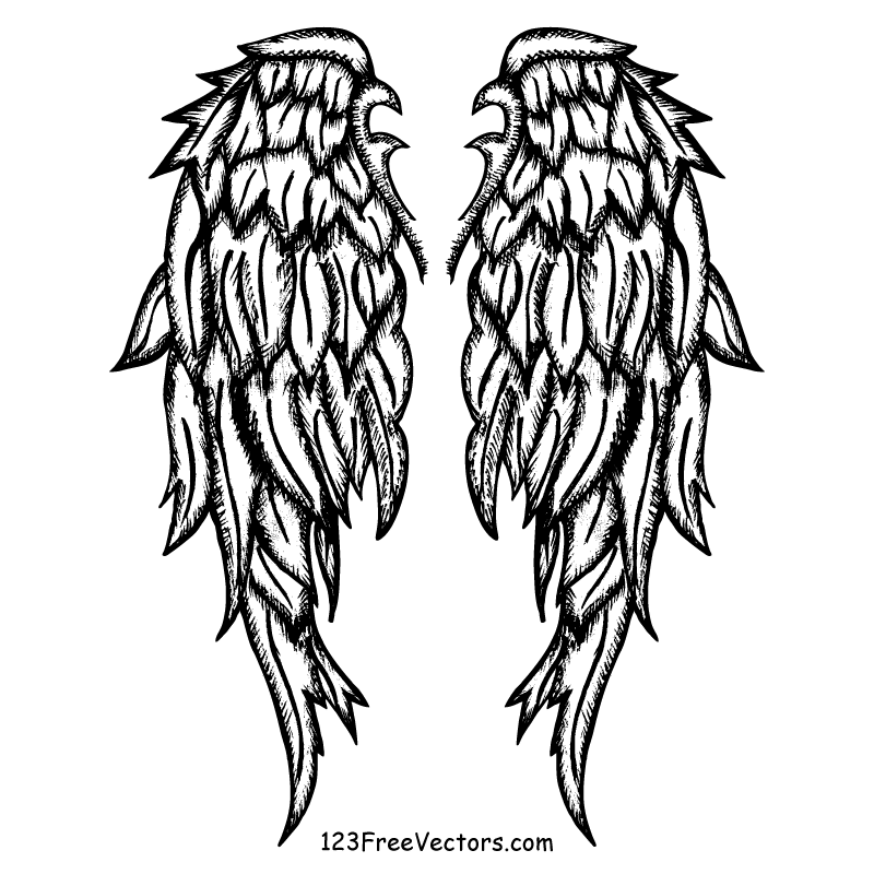 Free Hand Drawn Angel Wings Vector | 123Freevectors