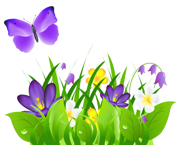 Cute butterfly and flower clipart png