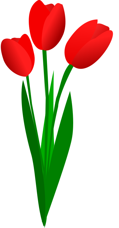 Tulips Flowers Clipart