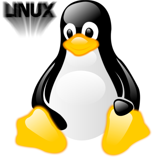 Linux Power Penguin Cute Graphic and Picture | Imagesize: 121 kilobyte