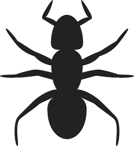 Ant Outline Template - ClipArt Best