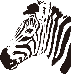 Zebra clipart images, icons < Free graphics