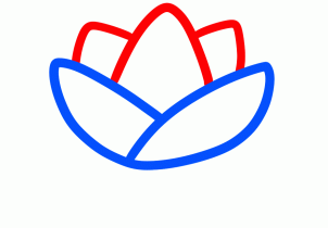 Flowers - How to Draw a Lotus for Kids