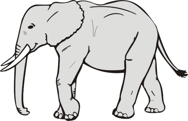 Animal's Name, Coloring Pages Elephant
