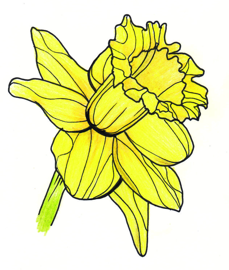 Digitizing Your Yellow Flower Drawing